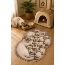 Zng Design Home Ragdoll Kedi Figürlü Dijital Baskı Makine Halısı, Kaymaz ve Yıkanabilir