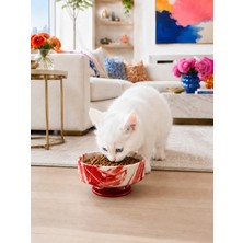 Feray Home Mama Kabı Kedi ve Köpek 1 Adet Doğal Mama Veya Su Kabı Kırmızı Marble