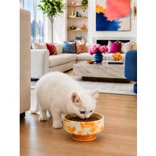 Feray Home Mama Kabı Kedi ve Köpek 1 Adet Doğal Mama Veya Su Kabı Soft Sarı Marble