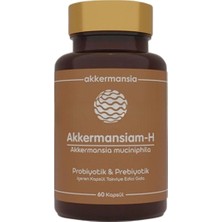 Akkermansiam-H Akkermansia Muciniphila Içeren Takviye Edici Gıda 60 Kapsül