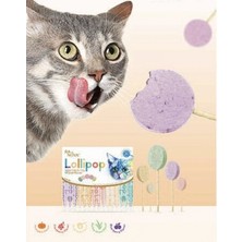 Ecoport Kedi Lolipopu Ödül 15 Adet