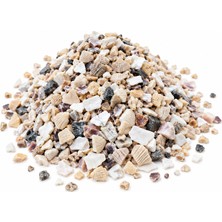 Muyu Craft Doğal Midye Kırıkları Akvaryum Dekoru 500 gr