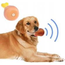 Ecoport Köpekler Için Sesli Oyuncak Tavuk Butu