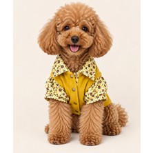 Patilemece Sarı Fitilli Çiçek Astarlı Kedi Köpek Gömleği
