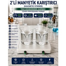 Manyetik Karıştırıcı İkili 2 Adet 6x20 mm Manyetik Balık