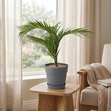 Matmel Deco Saksılı Yapay Çiçek - Yeşil - 85 cm