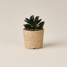 Matmel Deco Hasır Saksı Yapay Sukulent - Bej / Yeşil - 10X6 cm