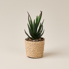 Matmel Deco Hasır Saksı Yapay Aloe Vera - Bej / Yeşil - 14X6 cm