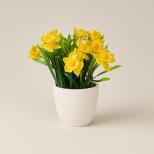 Matmel Deco Saksılı Nergis - Sarı - 20 cm