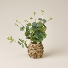 Matmel Deco Hasır Saksılı Okaliptüs - Yeşil - 25 cm