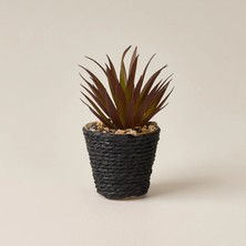 Matmel Deco Saksılı Yapay Sukulent - Turuncu - Bej / Turuncu - 15X9 cm