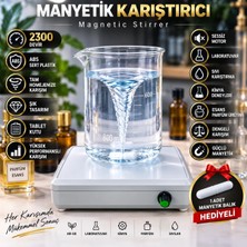 Manyetik Karıştırıcı ve 1 Adet 6x20 mm Manyetik Balık