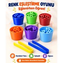 Major Hobi Renk Eşleştirme Oyunu  Çocuklar Için Eğitici Ince Motor ve Renk Öğrenme Oyuncağı