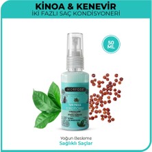 5 Adet Morfose Kinoa Kenevir Çift Fazlı Fön Suyu 50 ml