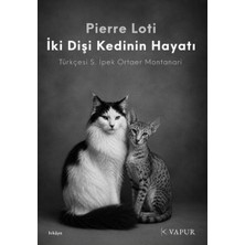 Vapur Iki Dişi Kedinin Hayatı