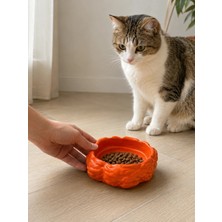 A-Luxe Eko Form Model Beton Kedi Köpek Mama ve Su Kabı (16CM*16CM*5.5CM) - Turuncu