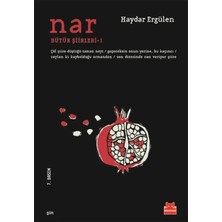 TeknoKapsül Nar