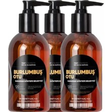 Sh Ticaret Burlumbuş Otu Jeli 120 ml x 3 Adet