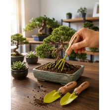 Alemdar Pazarlama Saksı Bitkileri Için Bahçe El Aleti Seti Ergonomik Ahşap Saplı