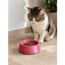 Homestead Pati Desen Model Beton Kedi Köpek Mama ve Su Kabı 13 cm Çap x 4 cm - Pembe