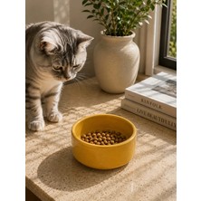 Bucuks Kase Model Beton Kedi Köpek Mama ve Su Kabı (15CM Çap × 5cm) - Bronz