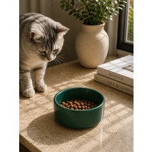 Bucuks Kase Model Beton Kedi Köpek Mama ve Su Kabı (15CM Çap × 5cm) - Yeşil