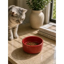Bucuks Kase Model Beton Kedi Köpek Mama ve Su Kabı (15CM Çap × 5cm) - Kiremit