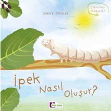 Fantastik Store Oluşum Hikayeleri - Ipek Nasıl Oluşur?