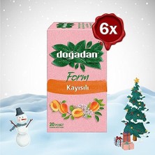 Mey İthalat Yılbaşı Paketi Form Çay Kayısılı 20'li x 6
