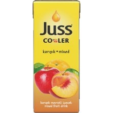 Mey İthalat Cooler Karışık 200 ml (2 Paketi)