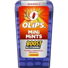 Mey İthalat Mini Mints Mango & Portakal Aromalı Şekersiz Şeker 12.5g