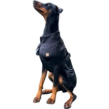 Mey İthalat Siyah Orta ve Büyük Irk Köpek Yağmurluğu 6xl