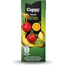 Mey İthalat Kutu, Atom Ballı Karışık Meyve Nektarı Karton 27X200 ml
