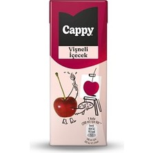 Mey İthalat Kutu, Vişneli Içecek Karton 27X200 ml