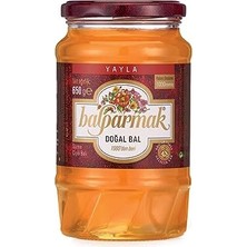 Mey İthalat Yayla Çiçek Balı 650 G