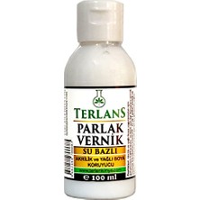 Mey İthalat Su Bazlı Parlak Vernik 100 Ml, Akrilik ve Yağlı Boya Koruyucu