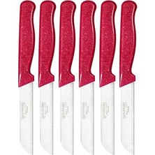 Mey İthalat Solingen 6'lı Tırtıklı Meyve Bıçağı Seti; Paslanmaz Çelik, Ergonomik Kaymaz Sap, Ultra Keskin, Meyve ve Sebze Için, 18 cm (Pembe)
