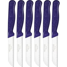 Mey İthalat Solingen 6'lı Tırtıklı Meyve Bıçağı Seti; Paslanmaz Çelik, Ergonomik Kaymaz Sap, Ultra Keskin, Meyve ve Sebze Için, 18 cm (Mor)
