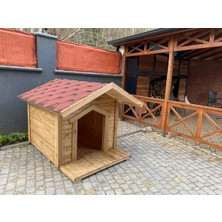 Bezos Köpek Kulübesi