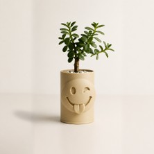 TeknoKapsül 3D Baskı Emoji Planter - Göz Kırpan Yüzlü Sukulent Saksısı-Bej