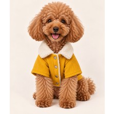 Patilemece Sarı Fitilli Buklet Kürklü Kedi Köpek Montu