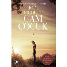 TeknoKapsül Cam Çocuk: 30'dan Fazla Dilde Milyonlarca Okur