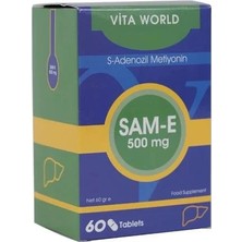 Vita World Sam-E 500 Mg 60 Tablet