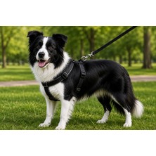 Colezium Gezdirme Kayışlı Dokuma Köpek Göğüs Tasma Seti 40*60-110 cm Siyah