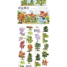 Papatya Craft L21-NEW 120CM Agaclar Pet Tape