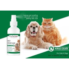 Colezium Pro Perfeck Kedi ve Köpek Kiraz Çiçeği Parfüm 100 ml