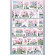 Papatya Craft A5-Bobo Fish 100CM Sakura Sokak Pet Tape