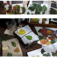 Papatya Craft O13-FIRSAT Ürün 40 Adet Yaprak Pet Sticker - Numara : 5
