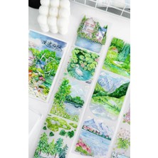 Papatya Craft A15-BOBO Fish 125CM Manzara Pet Tape