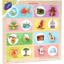 Semel ONY-363-364 Ahşap Tutmalı Eşleştirme Hangi Hayvan Nerede Yaşar